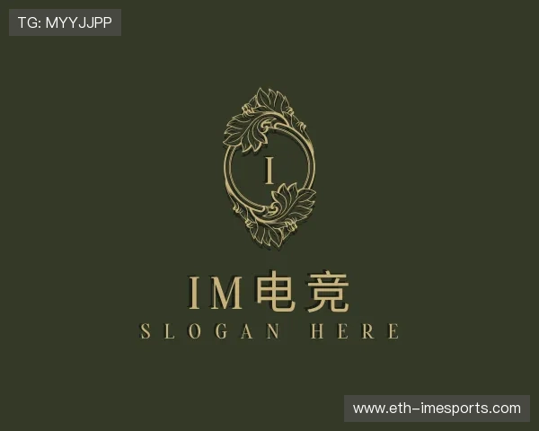 介绍IM电竞